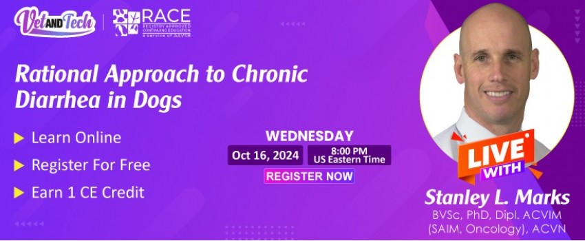 Join Our RACE-Approved Webinar: Rational Approach to Chronic Diarrhea in Dogs