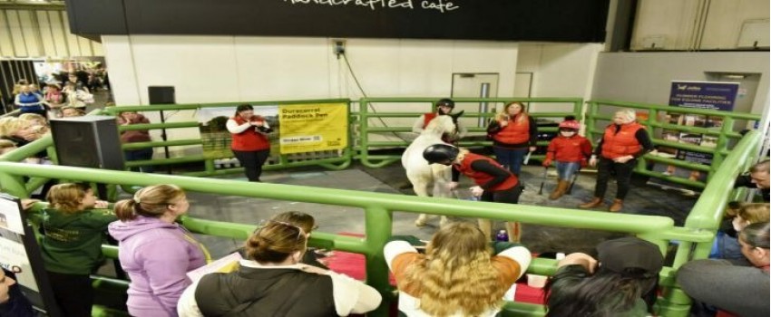 The National Equine Show