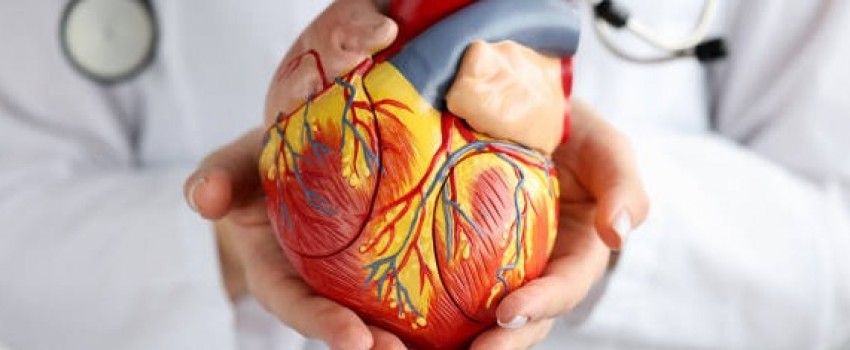 World Conference on Advances in Cardiology