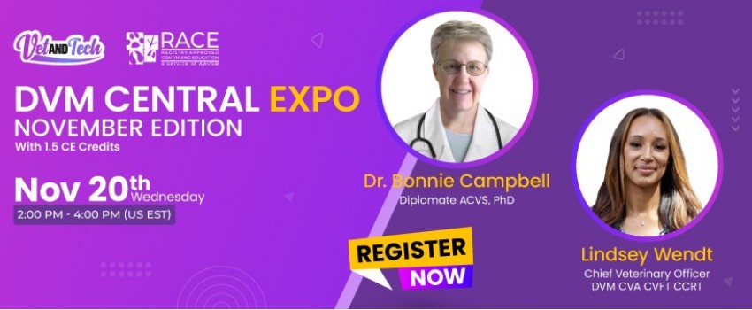 DVM Central Expo: November Edition with 1.5 CE Credits