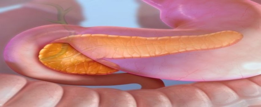 Innovations in Management of Pancreatic Conditions and Therapies: The Mayo Clinic IMPACT Course 2025
