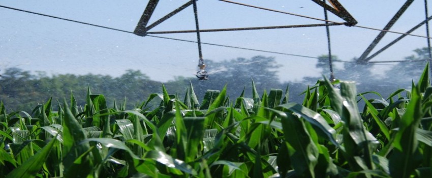 Climate Change and the Global Harvest