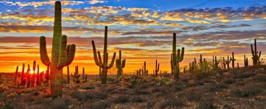 31st Nicotine Dependence Center Conference 2025: The Evolving Tobacco Landscape