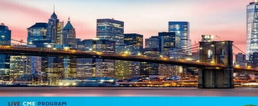 The Best of the Big Apple OB-GYN Ultrasound 2025