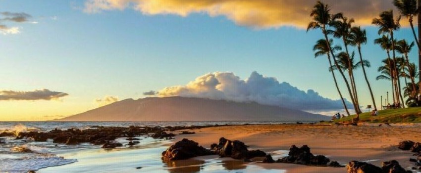 Mayo Clinic Tutorials in Diagnostic Radiology - Maui, Hawaii - January 11-15, 2026