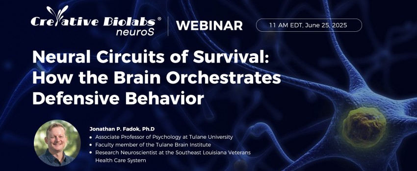 Neural Circuits of Survival: How the Brain Orchestrates Defensive Behavior