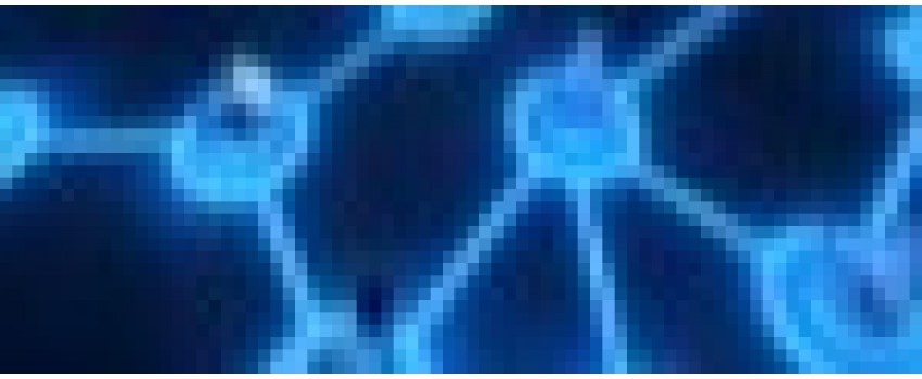 11th International Conference of Networks, Communications,  Wireless and Mobile Computing (NCWC 2025)