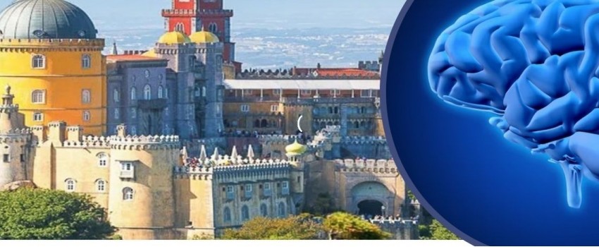 The International Experts Summit on Neurology and Neurological Disorders 