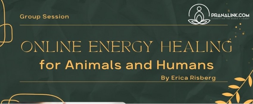 Online Energy Healing for animals and humans (Group Session)