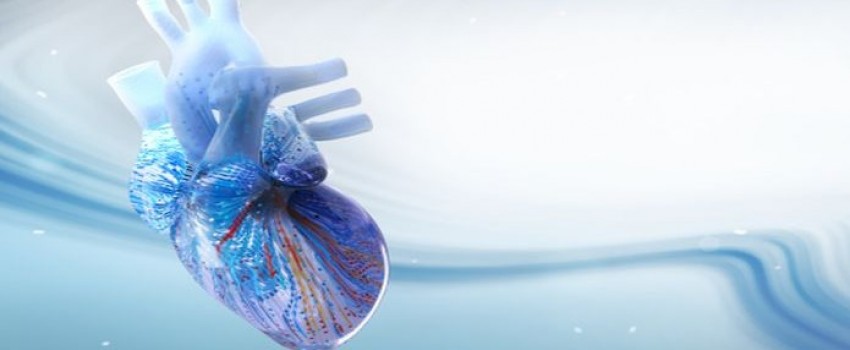 Cardiovascular Board Review for Initial Certification and Recertification