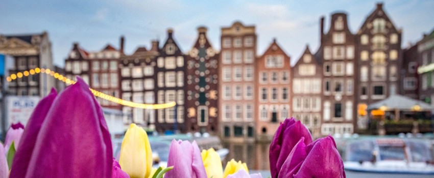 Intensive English Language Course in Amsterdam