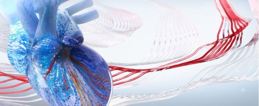 2025 Interventional Cardiology Online Board Review