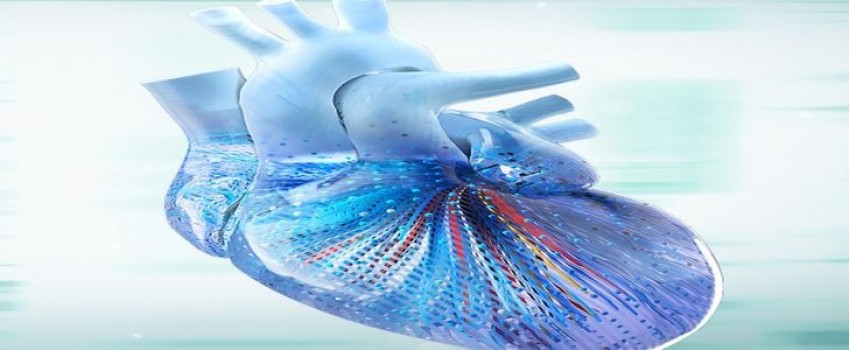 2025 A_d_u_l_t C_o_n_g_e_n_i_t_a_l Heart Disease Online Board Review