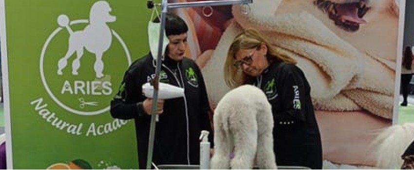 ZOOMARK INTERNATIONAL