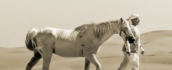 DIHF - DUBAI INTERNATIONAL HORSE FAIR