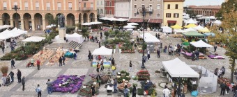 FIERA DI SAN MICHELE
