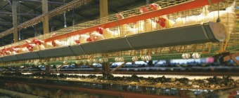 ILDEX INDONESIA