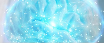 International Conference on Clinical Pulse of Neuroscience”