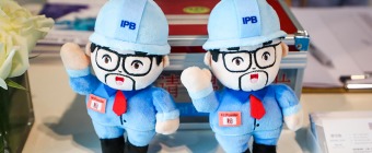 IPB