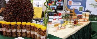 PALMEX INDONESIA