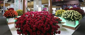 PROFLORA