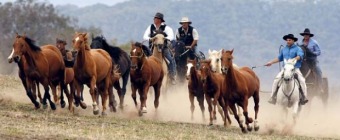 The Man From Snowy River Bush Festival