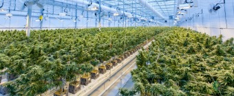 The Pacific Agriculture Show