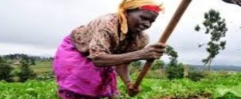 Training Course on Establishing And Strengthening Farmer Organizations