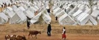 Training Course on Shelter &Settlement  planning 
