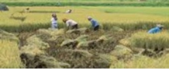 Agricultural Value Chain Finance