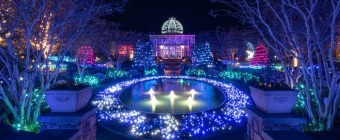 Dominion Energy GardenFest of Lights