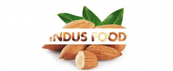 Indus Food