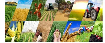 Farming Expo