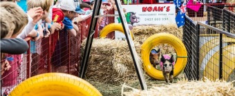 Royal Canberra Show