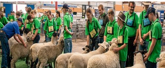 SA Sheep Expo