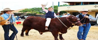 Casino Beef Week