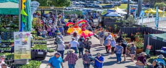 Queensland Garden Expo