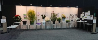 Green Expo - Gold Coast,