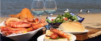 Hervey Bay Seafood Festival