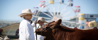 Ekka Royal Queensland show