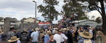 Australian Camp Oven Festival