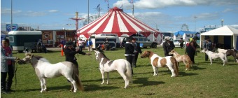 Shepparton Agricultural Show