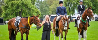 WAIKATO A&P SHOW