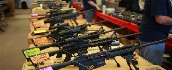 Lafayette Gun Show