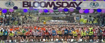 Bloomsday