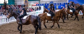 Royal Manitoba Winter Fair