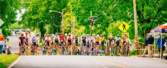 Sevier Park Fest