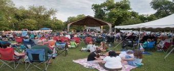 The Georgia Blueberry Festival