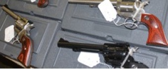 MEDINA GUN SHOW