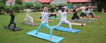 200 Hour Yoga Teacher Training in Rishikesh, India